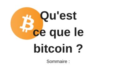 Bitcoin Pour Les Nuls Archives Canardcoincoin